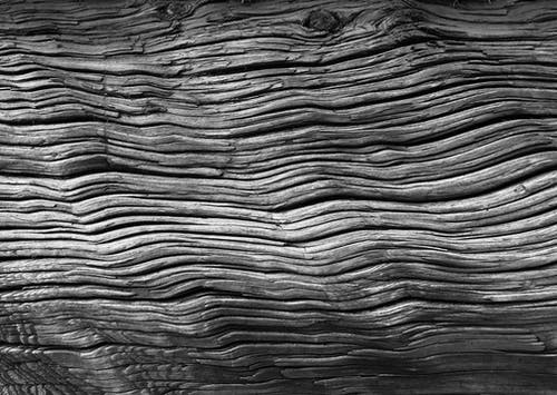 有关bw, 一個, 不均匀的的免费素材图片