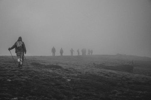 有关bw, 一起, 不变的免费素材图片