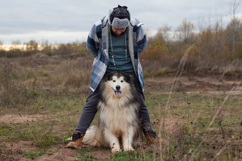 有关人, 动物, 哺乳动物的免费素材图片