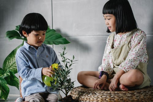 好奇的族裔儿童在公寓里的植物上喷水 · 免费素材图片
