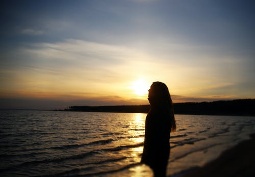 有关佩服, 侧面图, 冷静的免费素材图片