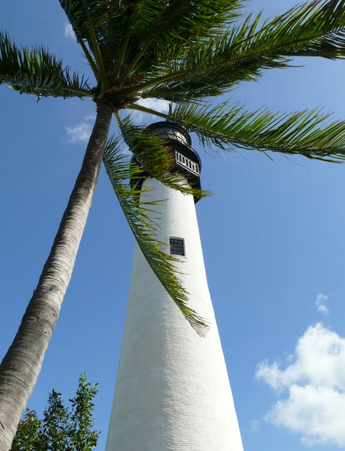 有关低角度拍摄, 垂直拍摄, 户外的免费素材图片