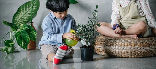 播种亚洲孩子坐在地板上和喷涂绿色的室内植物 · 免费素材图片