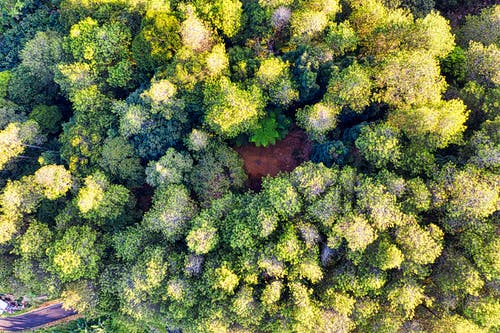 有关俯视图, 原本, 和平的的免费素材图片