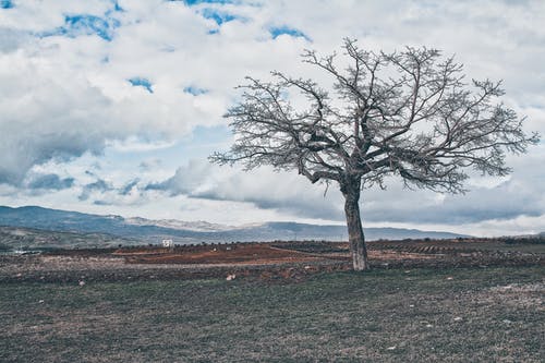 有关Copyspace, 乾的, 冷静的免费素材图片