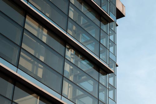 有关Copyspace, 从下面, 低角度的免费素材图片