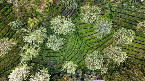 有关划船, 和平的, 地平线的免费素材图片