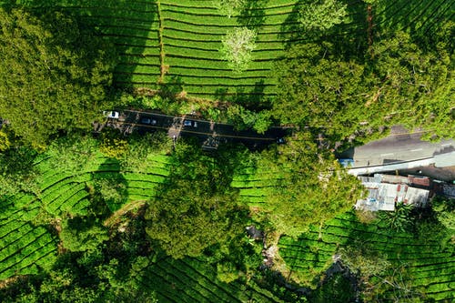 有关住宅, 冷静, 和谐的免费素材图片