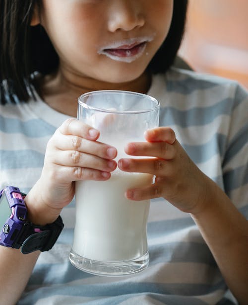 庄稼在牛奶中的小女孩用嘴 · 免费素材图片