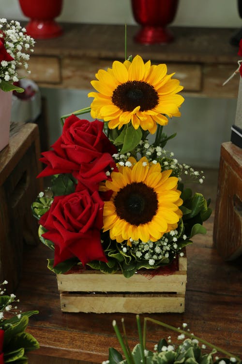 有关什锦的, 垂直拍摄, 微妙的免费素材图片