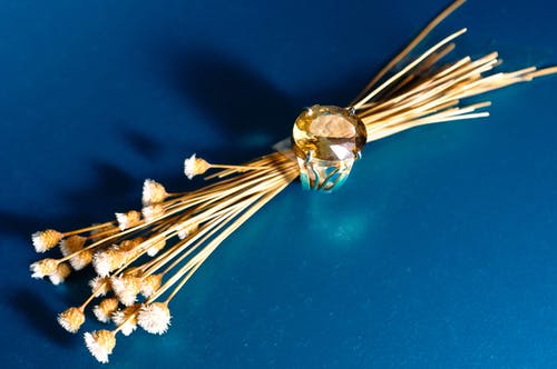 有关一串, 乾燥, 优雅的免费素材图片