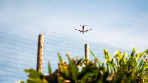 有关从下面, 低角度, 冷静的免费素材图片