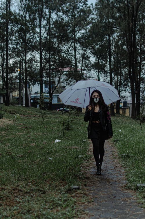 有关下雨, 保护, 天气的免费素材图片