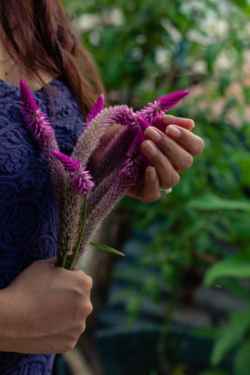 有关垂直拍摄, 微妙, 手的免费素材图片