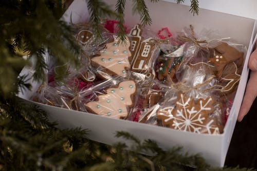 有关圣诞树, 姜饼, 姜饼人的免费素材图片
