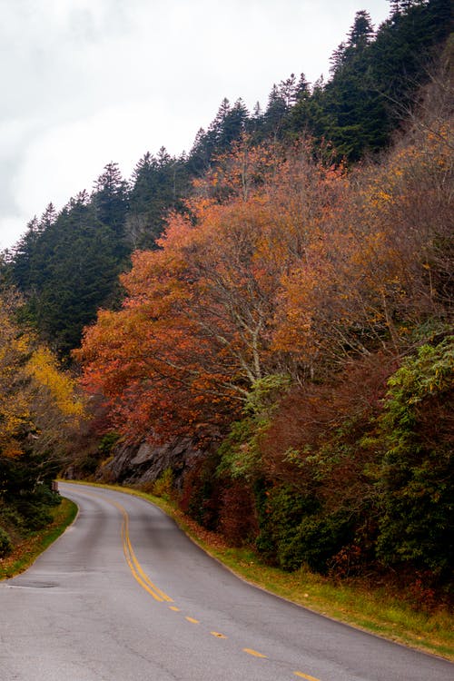 有关下落, 垂直拍摄, 天性的免费素材图片