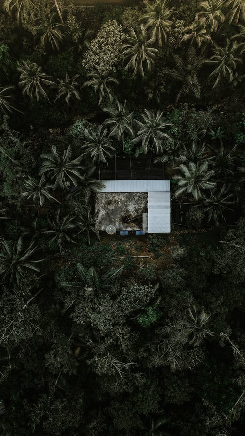 有关住宅, 俯视图, 冷静的免费素材图片