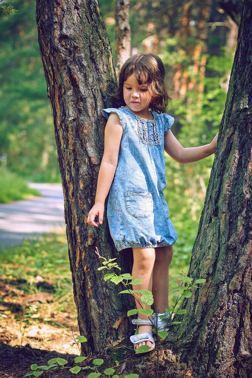 有关可爱, 可爱的, 垂直拍摄的免费素材图片