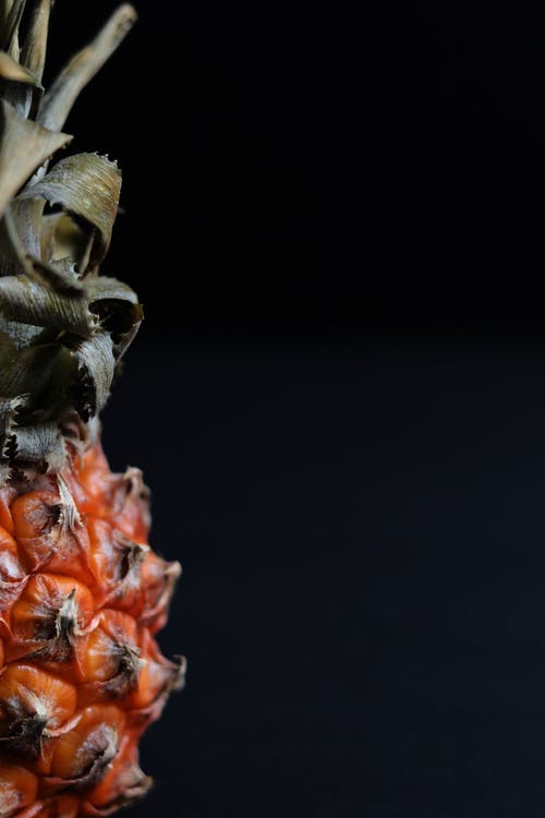 菠萝果实与黑色背景 · 免费素材图片