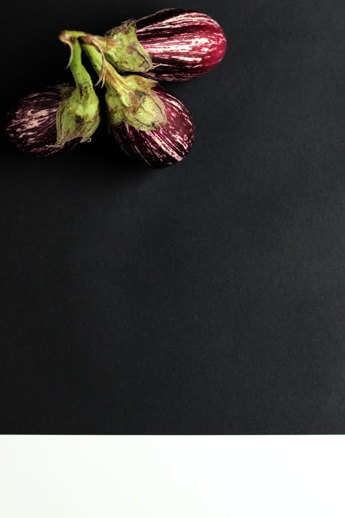 黑色表面上的红色和绿色的花 · 免费素材图片