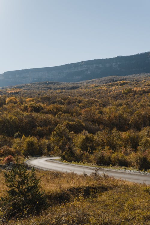 山上的绿树 · 免费素材图片