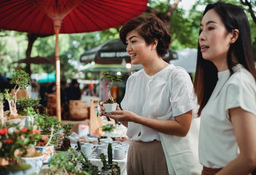 迷人的亚洲妇女在街头市场上选择室内植物 · 免费素材图片