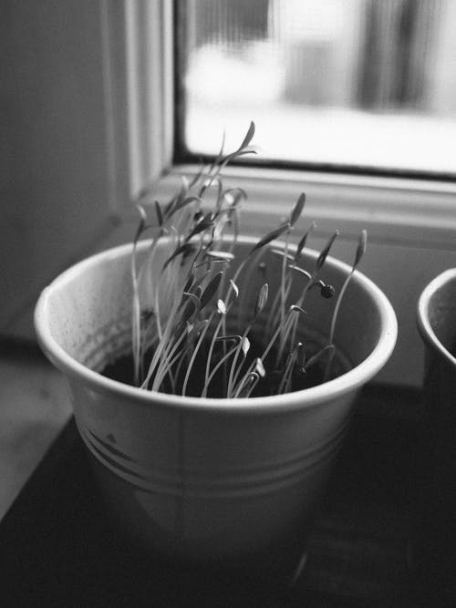 有关bw, 公寓, 冷静的免费素材图片