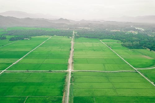 有关充满活力, 和平的, 和谐的免费素材图片