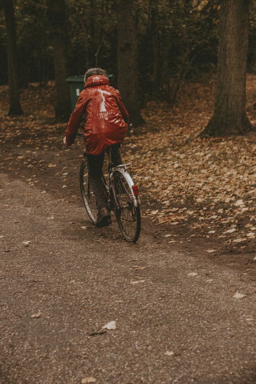 有关下落, 公园, 匿名的免费素材图片