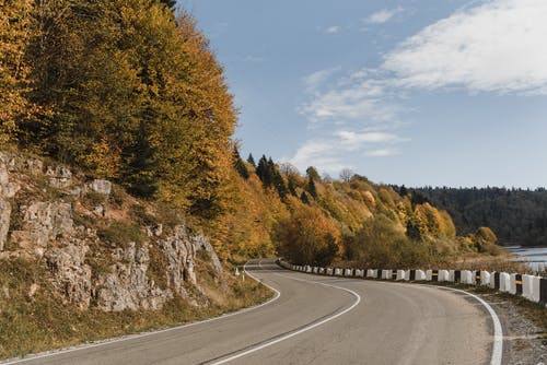 蓝蓝的天空下绿树之间的灰色混凝土路 · 免费素材图片