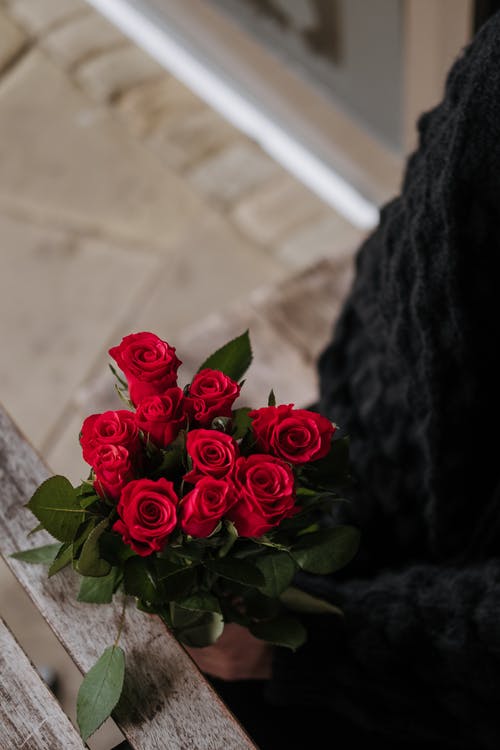 黑色纺织上的红玫瑰 · 免费素材图片