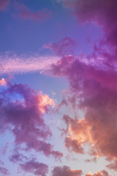 有关垂直拍摄, 天空, 日落的免费素材图片