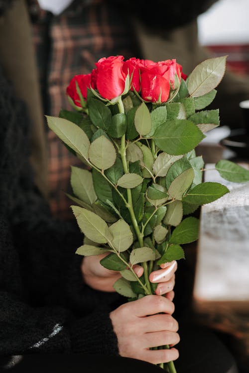 拿着红玫瑰花束的人 · 免费素材图片