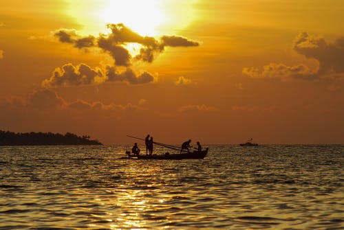 有关剪影, 日出, 日落的免费素材图片