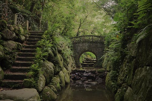 有关南港, 台北, 小河的免费素材图片