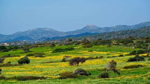 有关光, 和平的, 和谐的免费素材图片