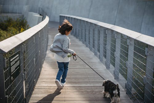 匿名的孩子在皮带上带狗跑 · 免费素材图片