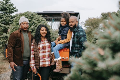 幸福的黑人家庭，附近冷杉在农村 · 免费素材图片