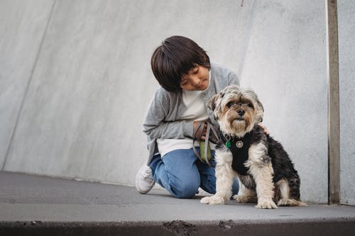 亚洲男孩爱抚纯种狗在城市 · 免费素材图片