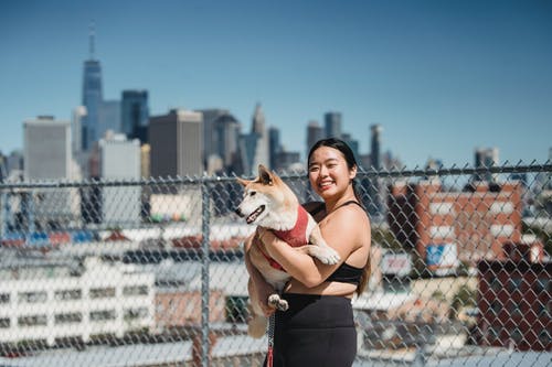 在城市举行狗的幸福女人 · 免费素材图片