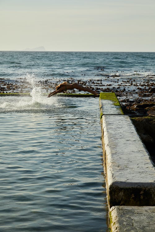 棕色和白色的鸟儿飞过海 · 免费素材图片
