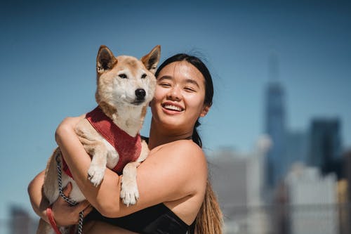 亚洲女人微笑着展示柴犬 · 免费素材图片