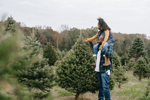 黑人父亲和女儿在外地选择圣诞树 · 免费素材图片
