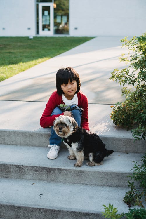 亚洲男孩在城里抚摸着楼梯上的小狗 · 免费素材图片