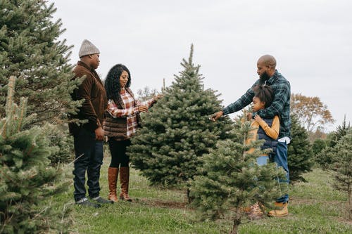 黑人家庭站在枞树农场 · 免费素材图片