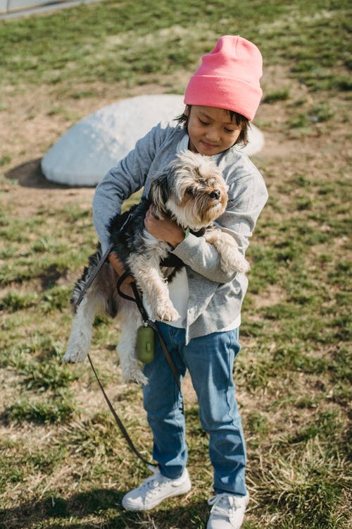 亚洲小男孩携带狗在公园 · 免费素材图片