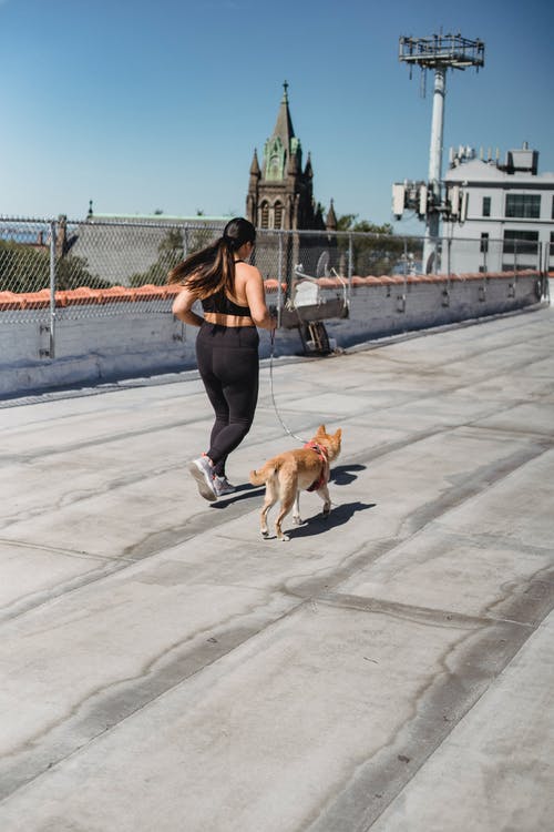 年轻女子在与狗的桥上运行 · 免费素材图片