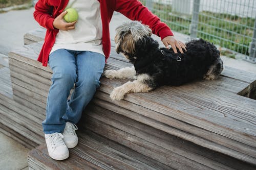 庄稼的孩子与爱犬球在白天 · 免费素材图片
