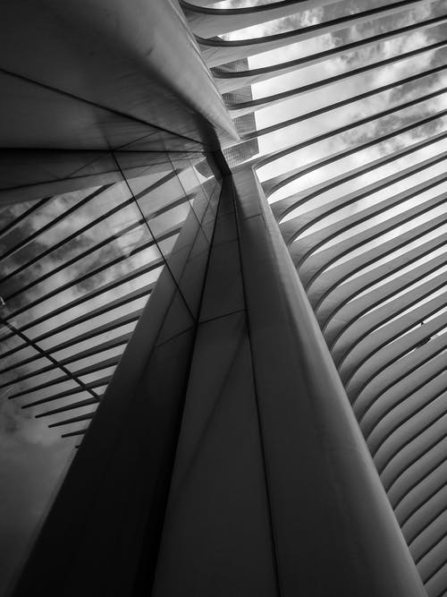 有关bw, Copyspace, 不均匀的的免费素材图片