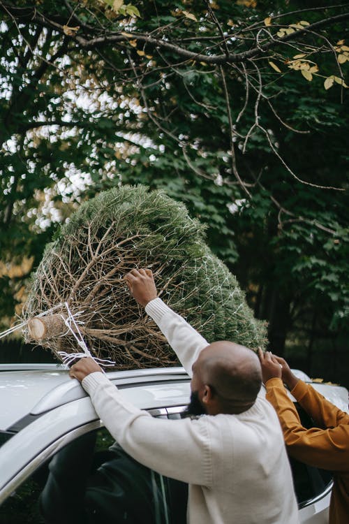 无法认出的黑人时髦人与作物伙伴绑枞树 · 免费素材图片